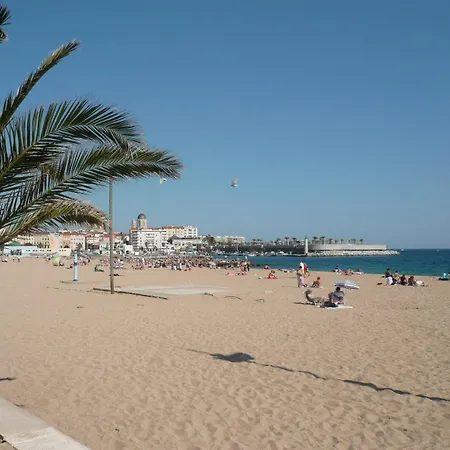 F4 En Rez De Jardin * Fréjus